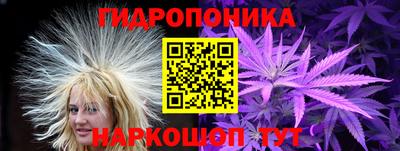 индика Новокубанск