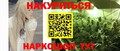 индика Новокубанск