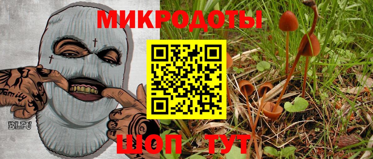 Галлюциногенные грибы MAGIC MUSHROOMS Сухой Лог