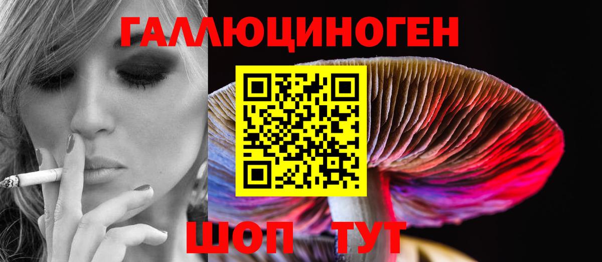 Псилоцибиновые грибы мицелий  Вход с VPN  Сухой Лог  Псилоцибиновые грибы Psilocybe 