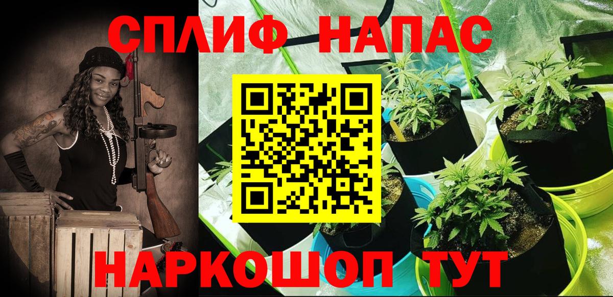 Сухой Лог  Канабис Amnesia  Вход с VPN  Каннабис Bruce Banner 